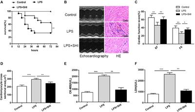 Shikonin Ameliorates LPS-Induced Cardiac Dysfunction by SIRT1-Dependent Inhibition of NLRP3 Inflammasome